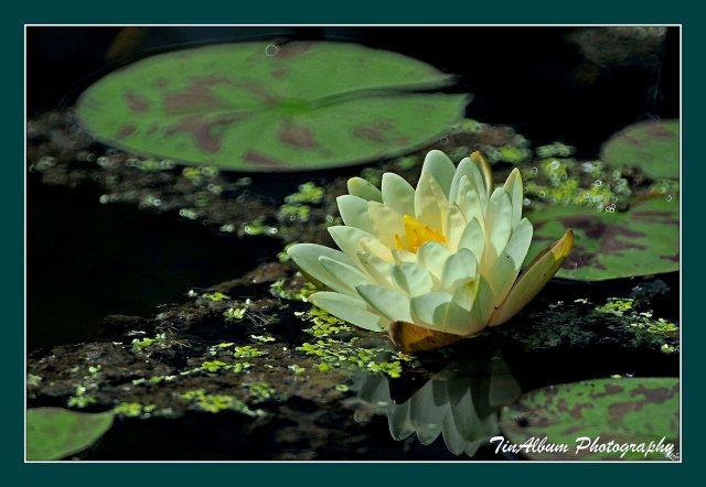 dcf-travel-img-52601