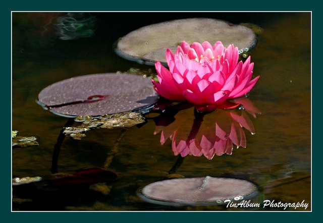 dcf-travel-img-52603