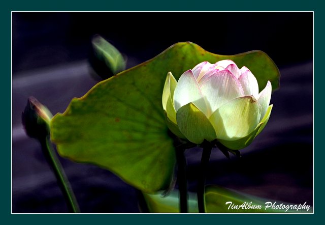 dcf-travel-img-52604