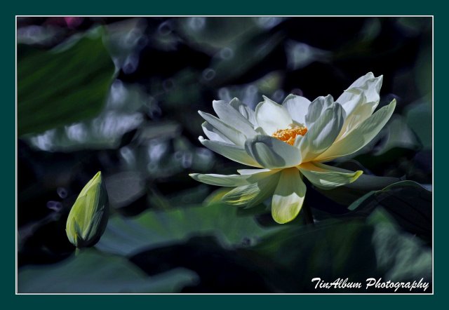 dcf-travel-img-52605