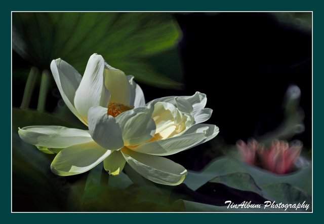 dcf-travel-img-52606