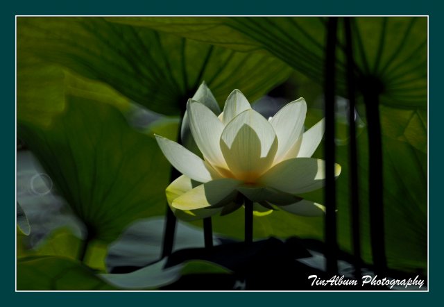 dcf-travel-img-52608