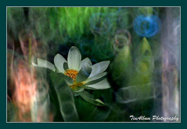 dcf-travel-img-52611