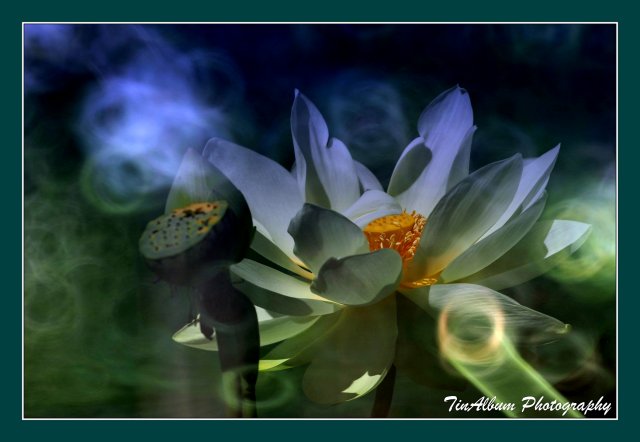 dcf-travel-img-52612