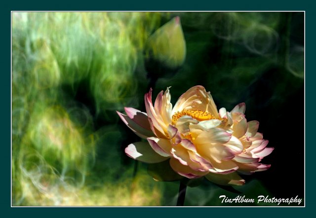 dcf-travel-img-52614