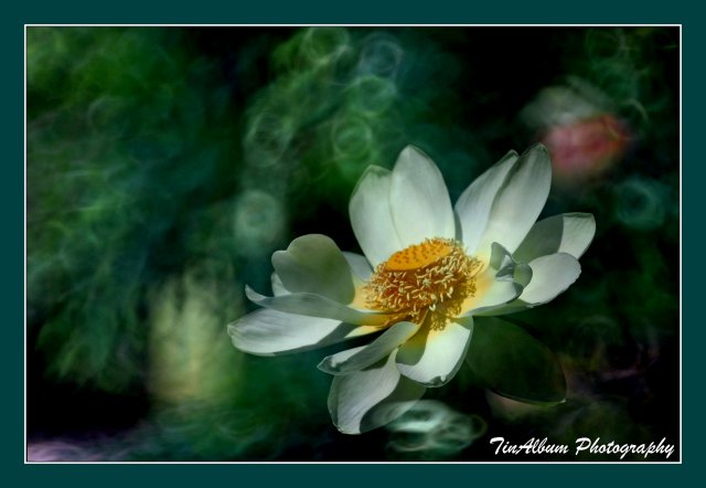 dcf-travel-img-52616