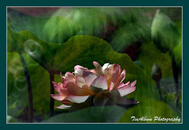 dcf-travel-img-52617