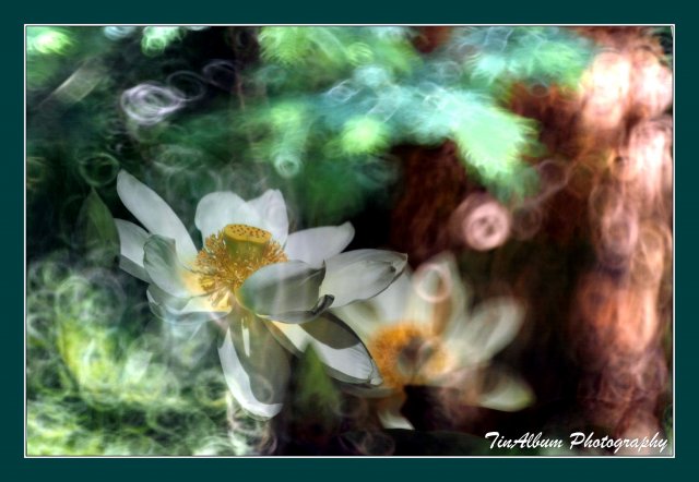 dcf-travel-img-52618