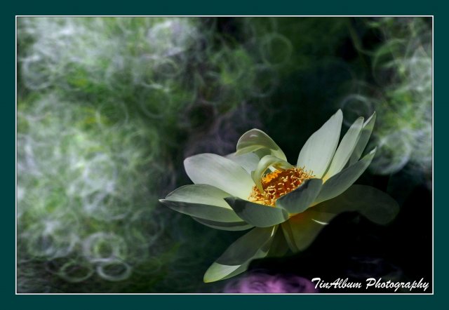 dcf-travel-img-52620