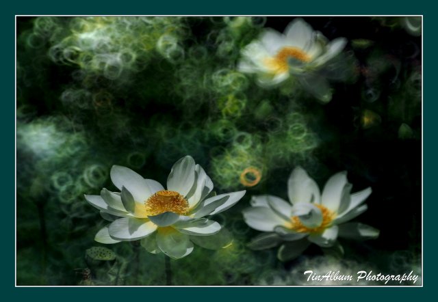 dcf-travel-img-52622