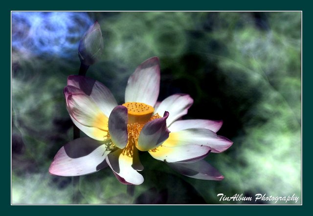 dcf-travel-img-52625