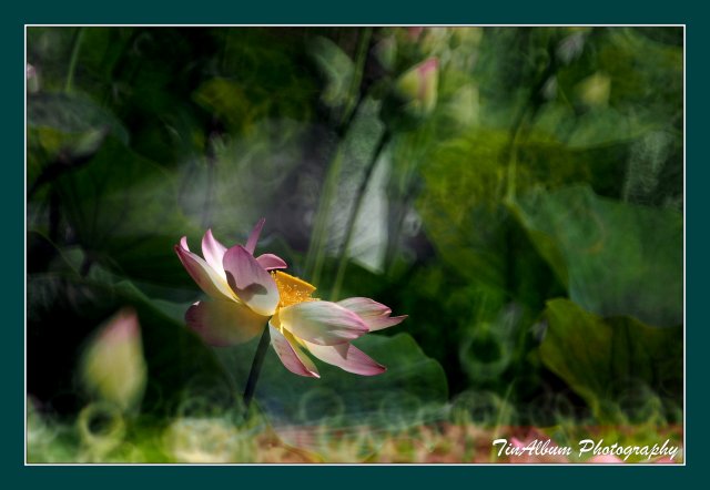 dcf-travel-img-52626