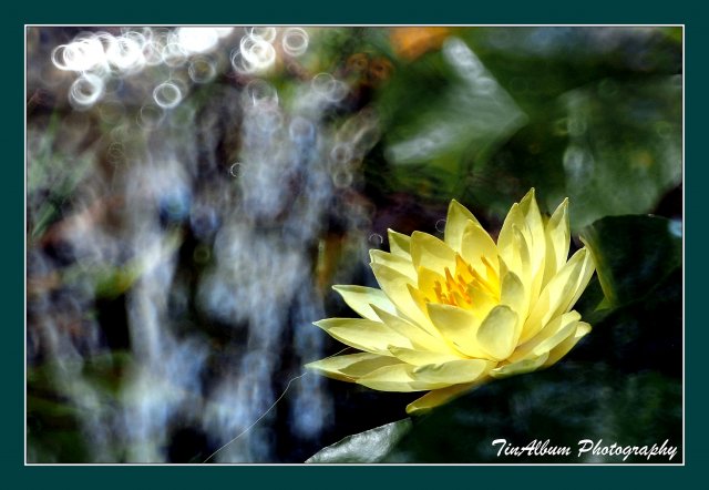 dcf-travel-img-52627