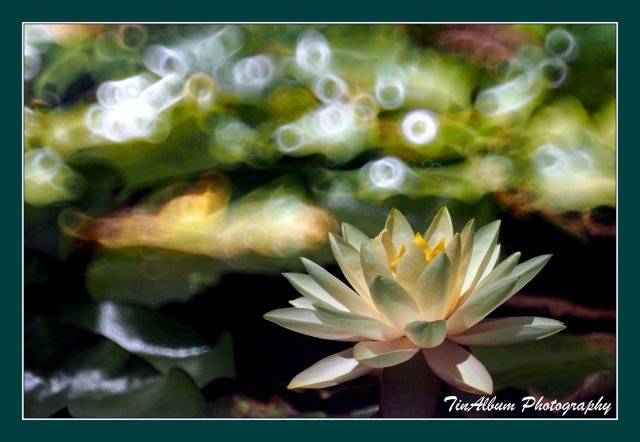 dcf-travel-img-52628