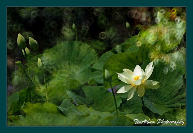 dcf-travel-img-52629