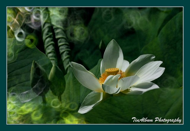 dcf-travel-img-52630