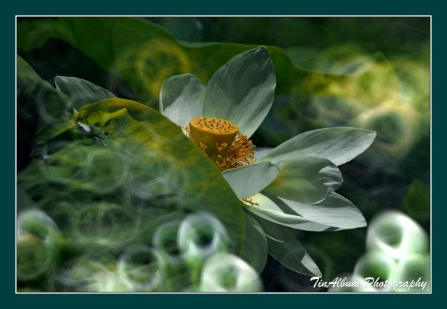 dcf-travel-img-52631