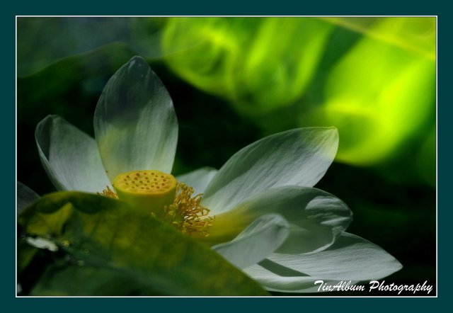 dcf-travel-img-52632