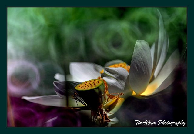 dcf-travel-img-52633