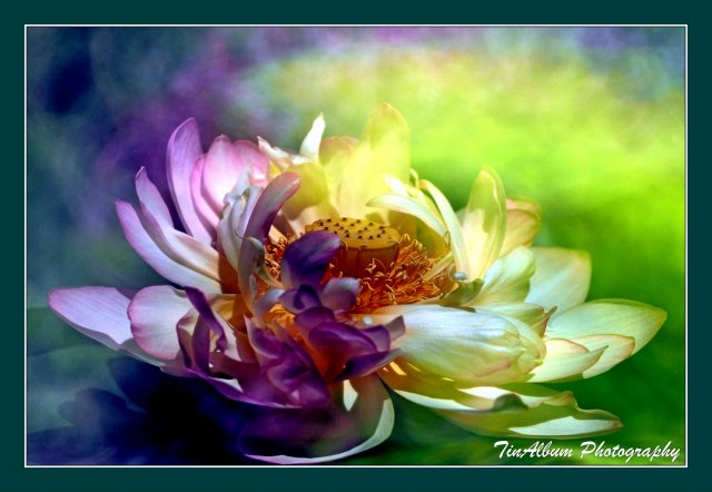 dcf-travel-img-52634