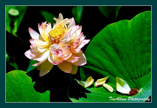 dcf-travel-img-52635