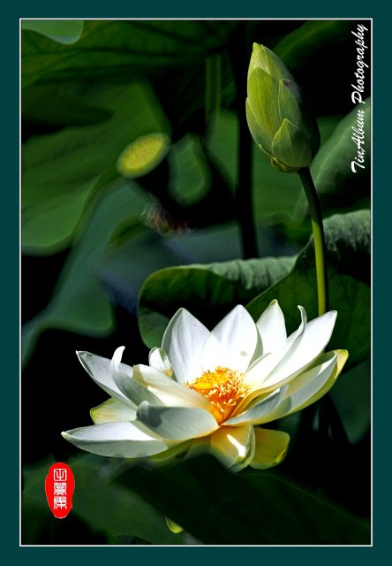 dcf-travel-img-52637