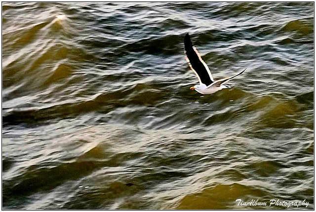 dcf-travel-img-53940