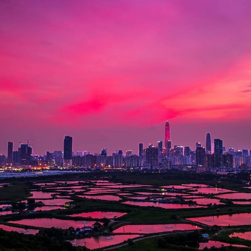 馬草壟的夜色.