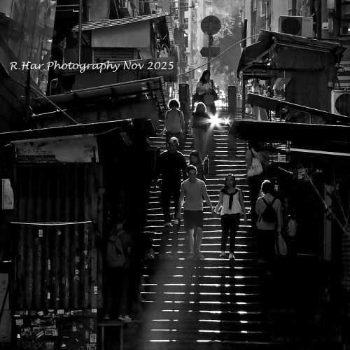 但願人長久 (Live Together with Longer Ground Shadow) 