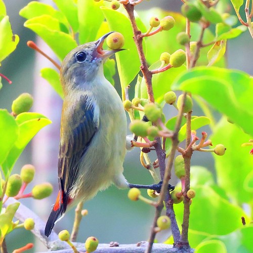 缘份的捕捉 2025-173 