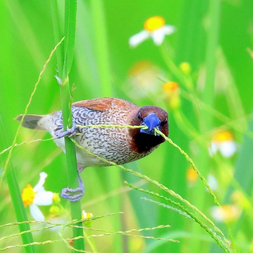 缘份的捕捉 2025-178 