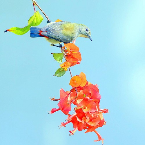 緣份的捕捉 2026-036 