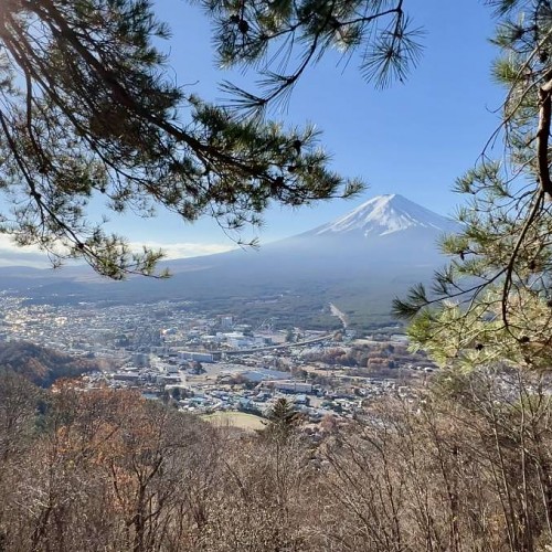 山林松影富士山