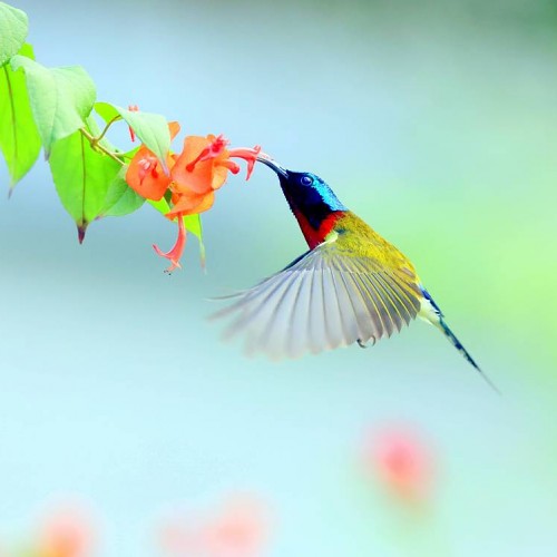 緣份的捕捉 2026-051 