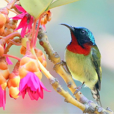 緣份的捕捉 2026-131