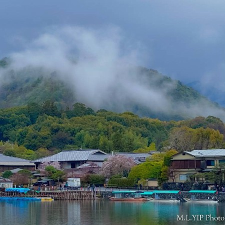 京都行 2.