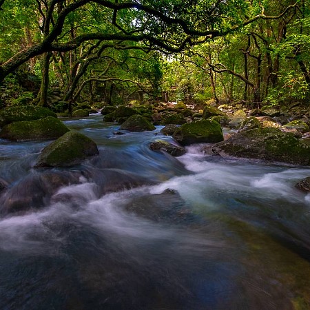 流水匯青溪.