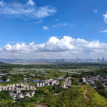 上山。存檔