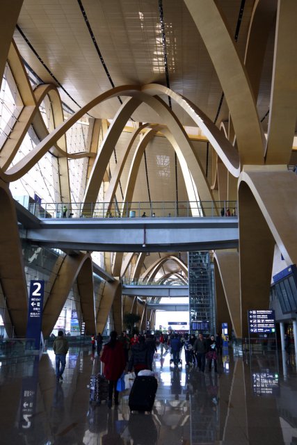 dcf-travel-img-1512
