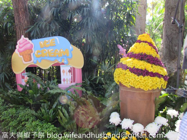 dcf-travel-img-2221