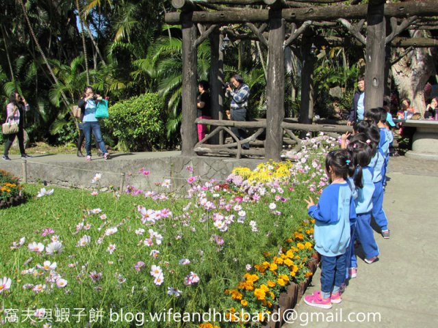 dcf-travel-img-2227