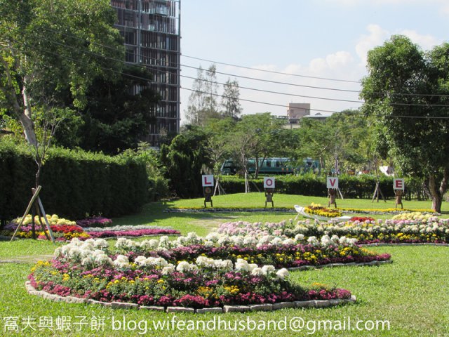 dcf-travel-img-2233