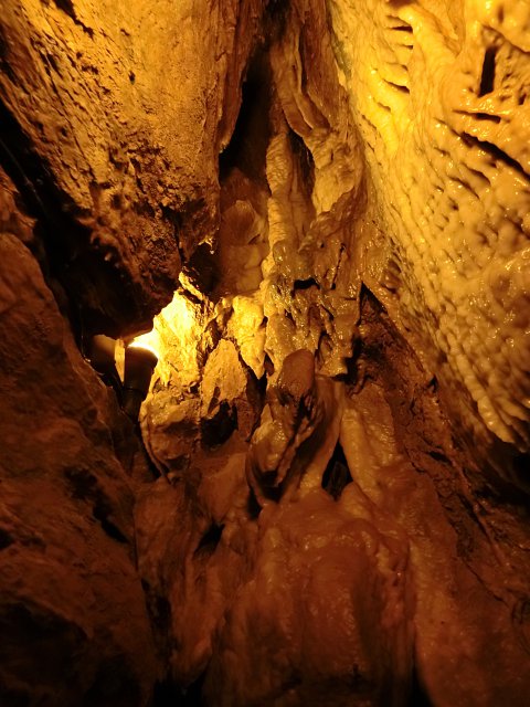 dcf-travel-img-2743