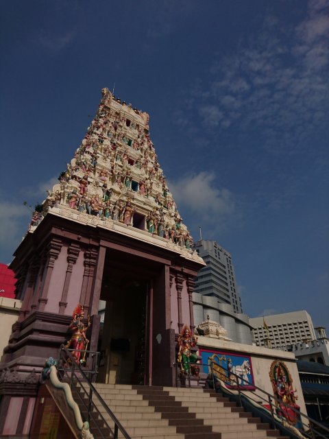 dcf-travel-img-10836