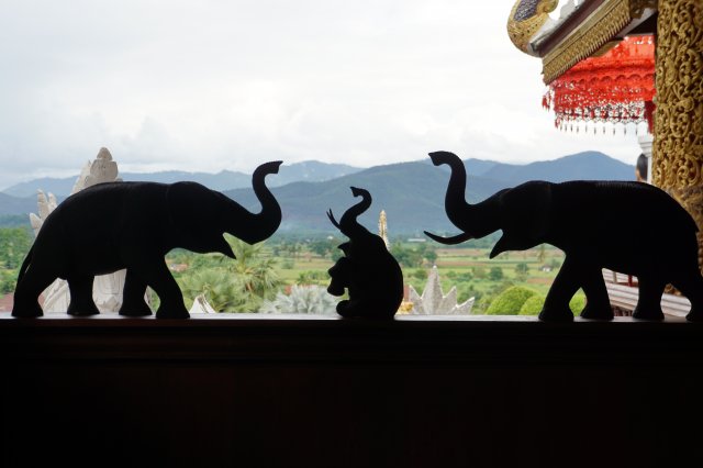 dcf-travel-img-11217