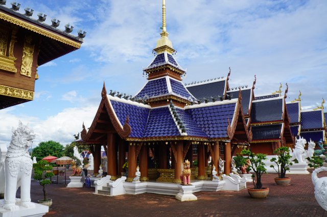 dcf-travel-img-11219