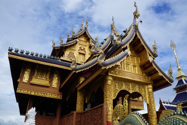 dcf-travel-img-11220