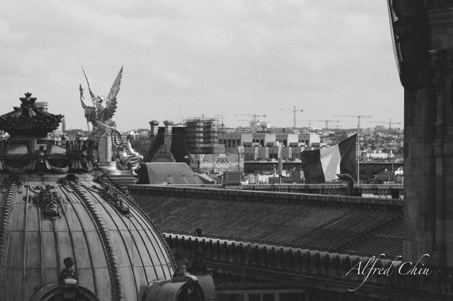 dcf-travel-img-11388