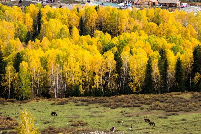 dcf-travel-img-12921