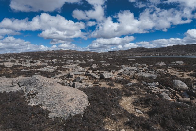 dcf-travel-img-13309